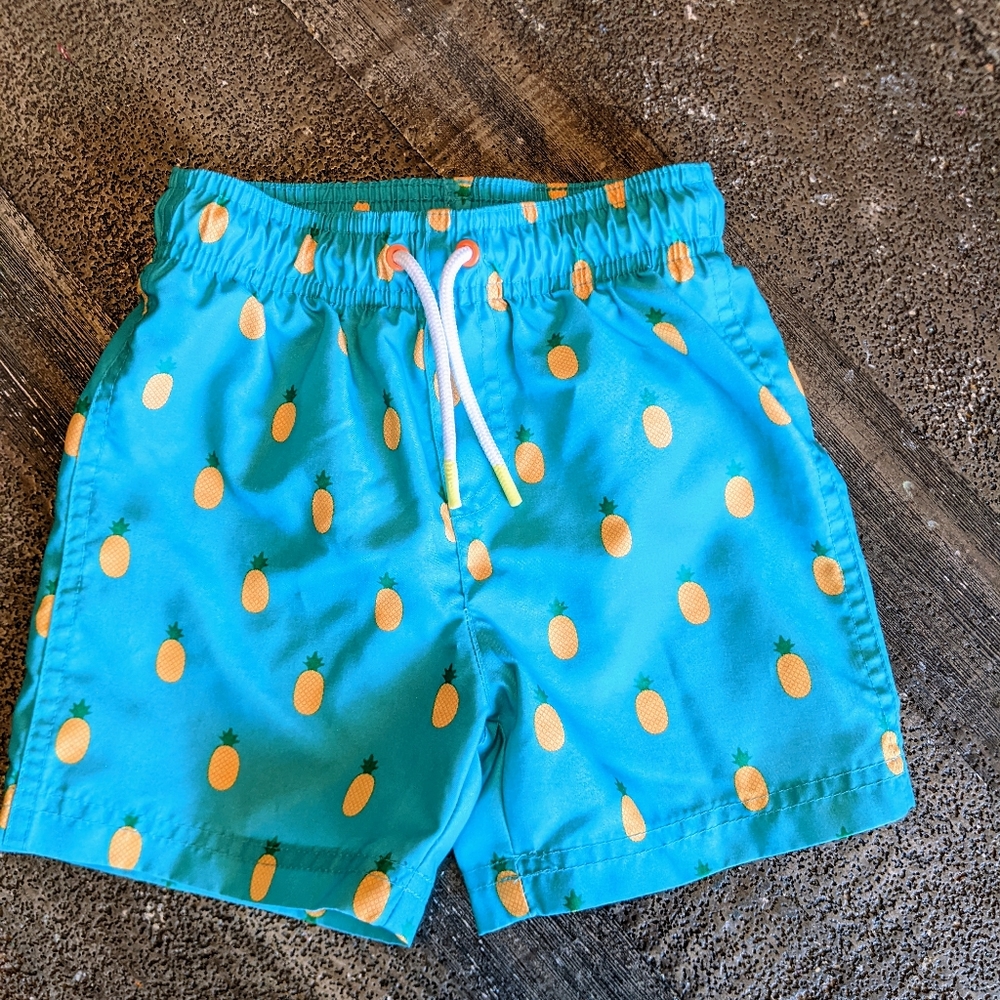 Toddler Boys Swim Trunks